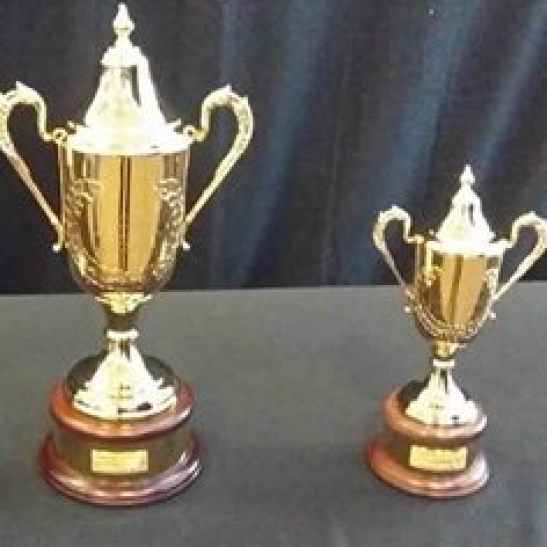 WA announces the Pinnacles concept to replace Masters carnival