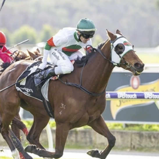 Skinnen Tins retired after Mandurah Cup mishap